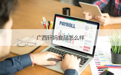 廣西軒媽食品公司概覽 工作時(shí)間、發(fā)展與計(jì)算機(jī)軟硬件業(yè)務(wù)