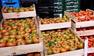 華南農產品交易中心 2019年下半年水果蔬菜行業(yè)四大趨勢與食用農產品零售新動向