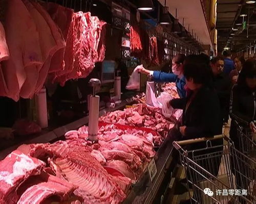 許昌市為禽畜產(chǎn)品配備“身份證”，開啟食用農(nóng)產(chǎn)品追溯新時(shí)代