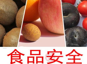 濰坊奎文區開展流通環節進口食品與食用農產品批發專項檢查，筑牢食品安全防線