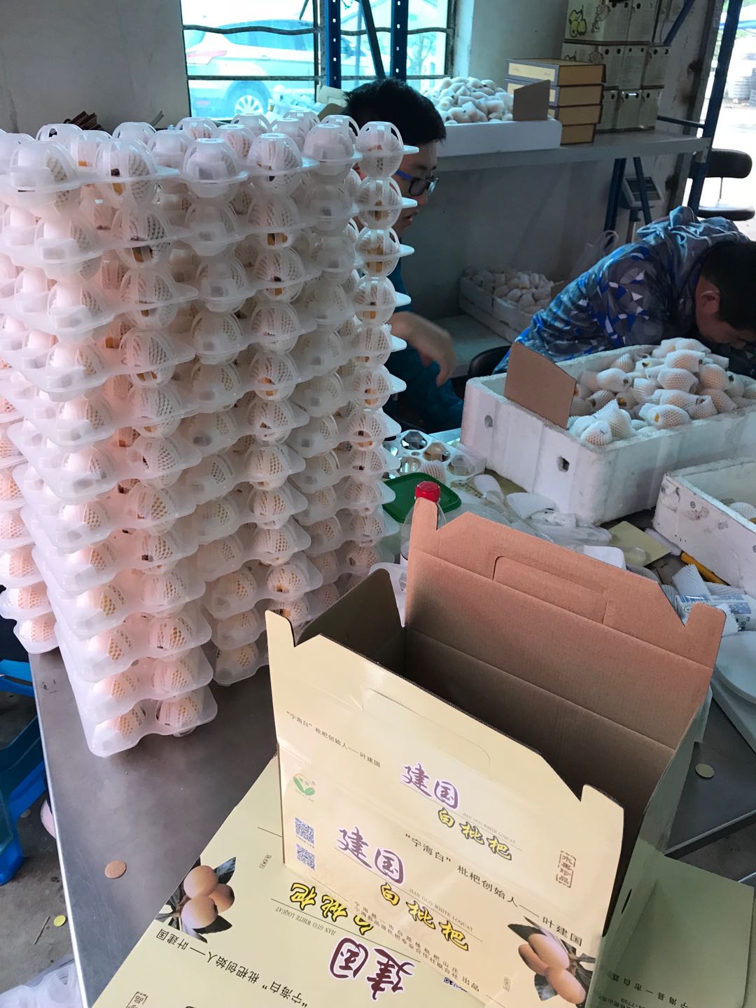 寧海白枇杷 一市建國的時令珍品，當季新鮮直供