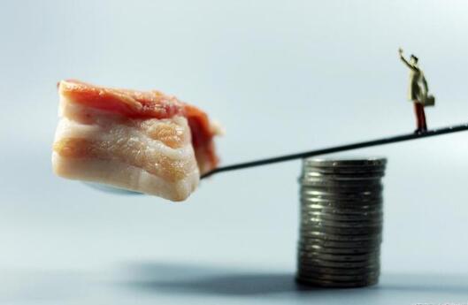 食用農產品價格延續回落趨勢，豬肉批發價降8.7%